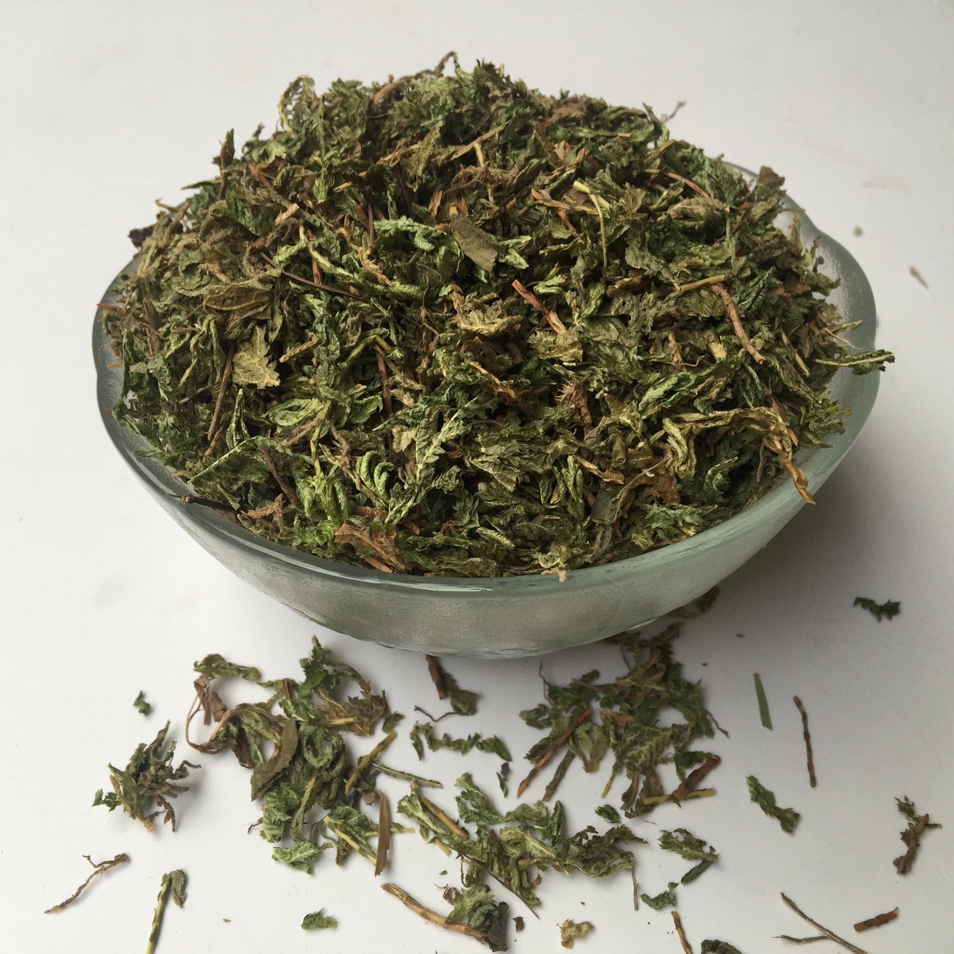 批发梭罗草散装龙鳞草岩柏地柏草g