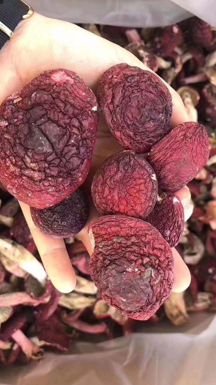 云南红菇产地批发云南标菇红蘑菇月子食用菌多规格散装250克