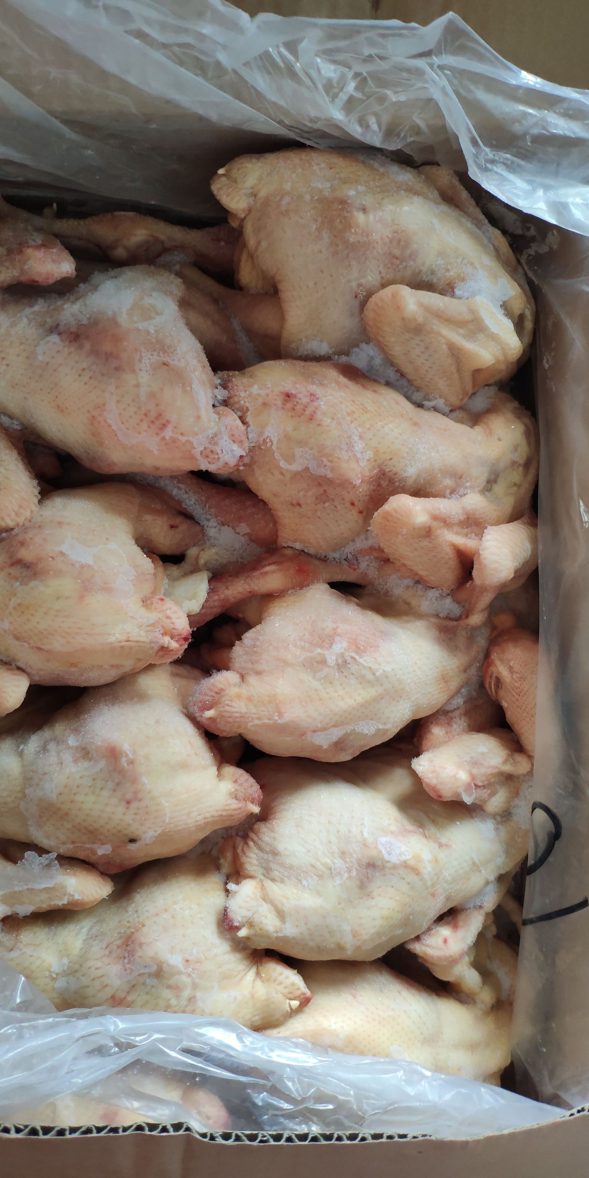 新鲜冷冻鸡土鸡麻鸡 三黄鸡 冻鸡肉 冻货