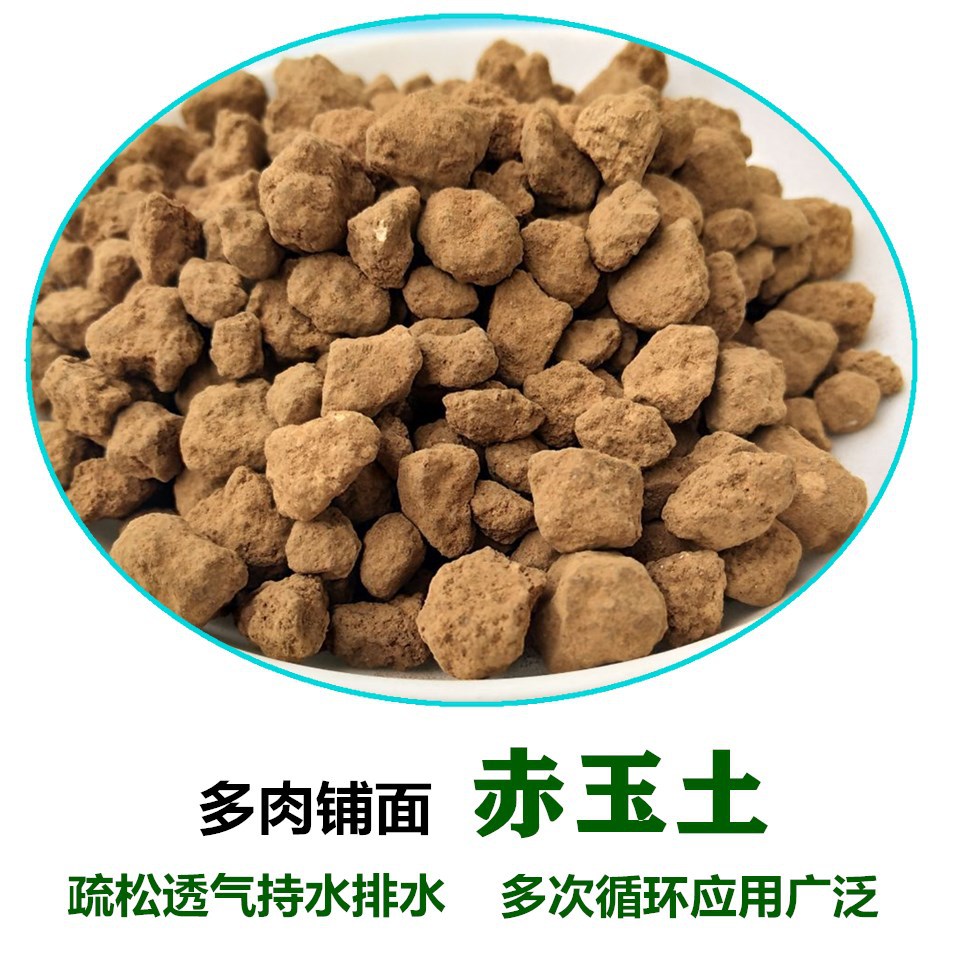 赤玉土 盆栽基质 营养土 铺面土 进口铺面土 硬质 二本线赤玉土
