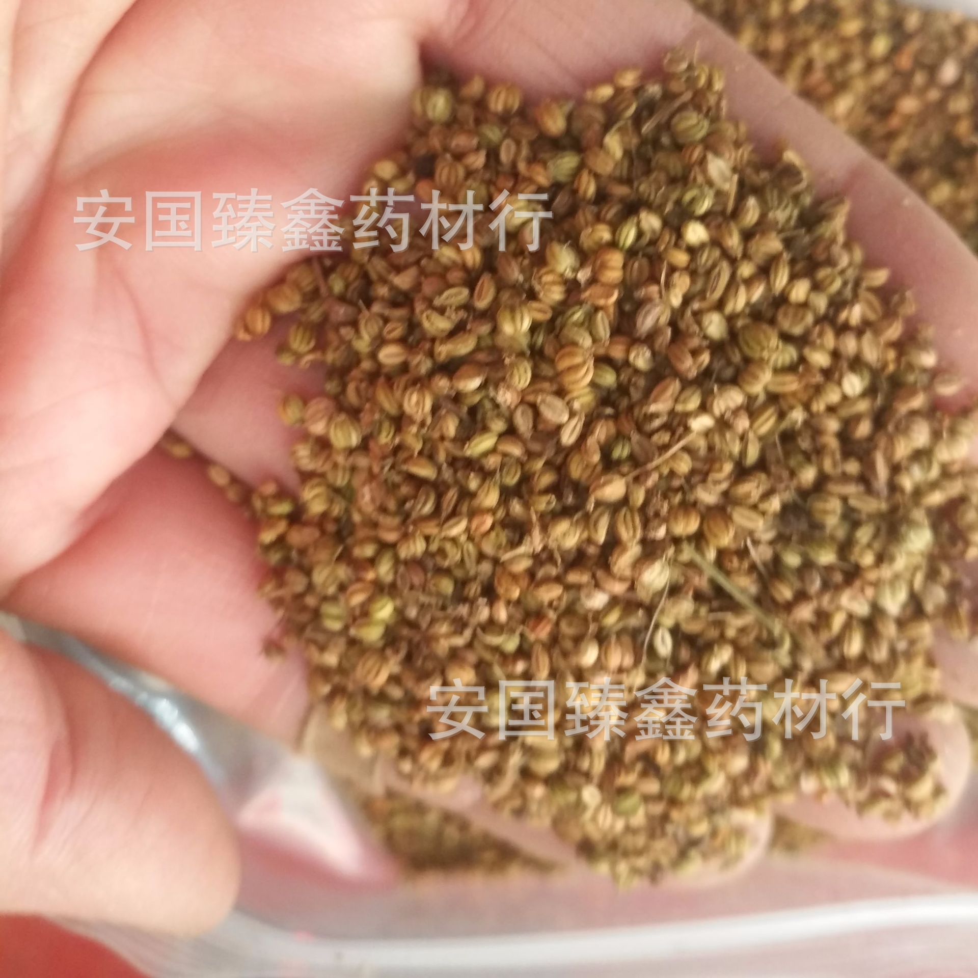 中药材莳萝子 灌香肠圆粒石落子 非千里香子 莳萝籽-阿里巴巴