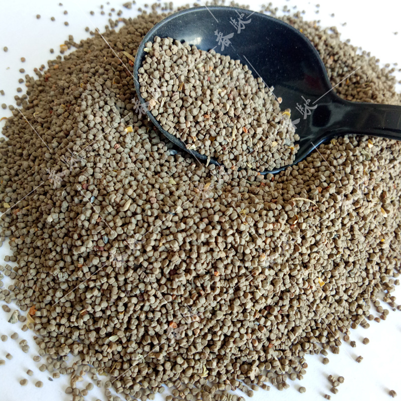 威尔种子批发 野生面条菜种子 散装500g 特色野菜籽