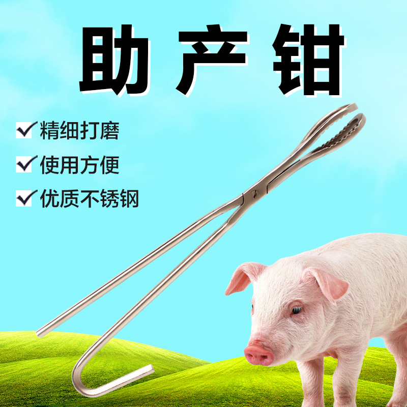 张家港不锈钢兽用助产钳 助产器械 猪用产科器械 创普机械
