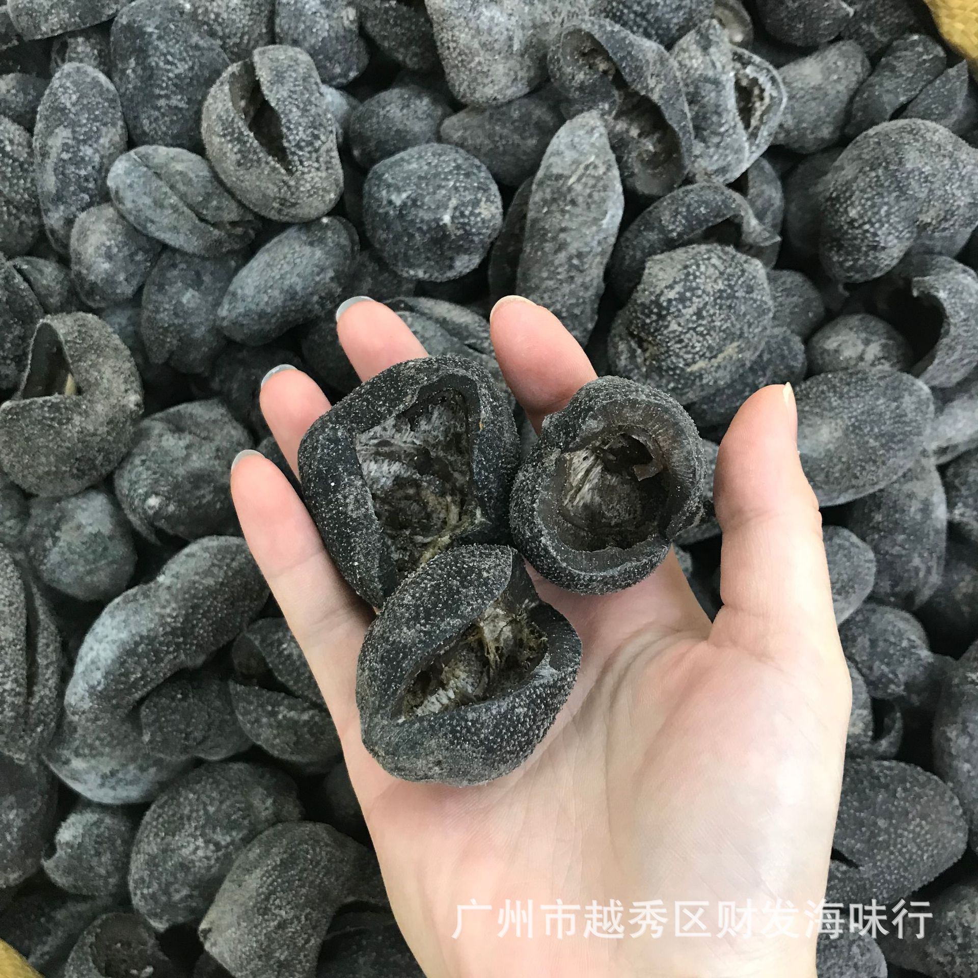 海参 产地直销越南球参 越南淡干球参 乌圆球参500克