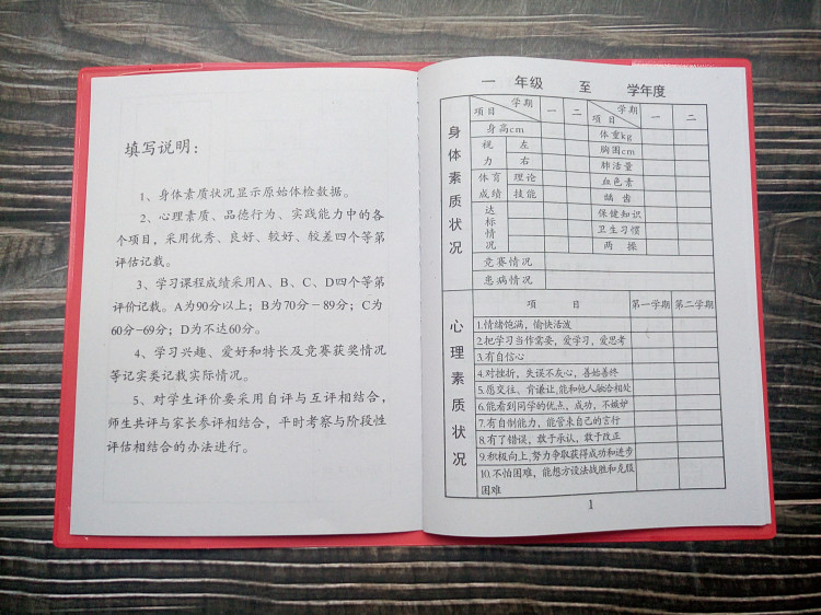 小学生通用红皮素质发展报告册烫金教育综合中学素质学校评价手册