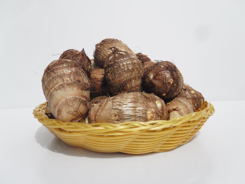 山东奶心小芋头 现挖 毛芋 农家软糯芋仔 5斤包邮 一件代发