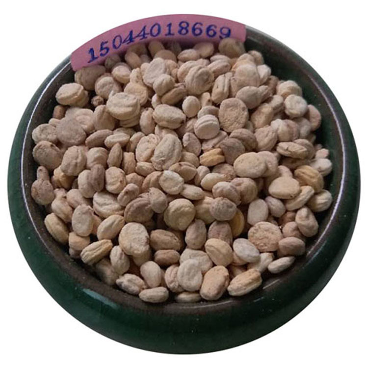 人参 人参籽 人参子 人参种子打粉泡水 一件代发