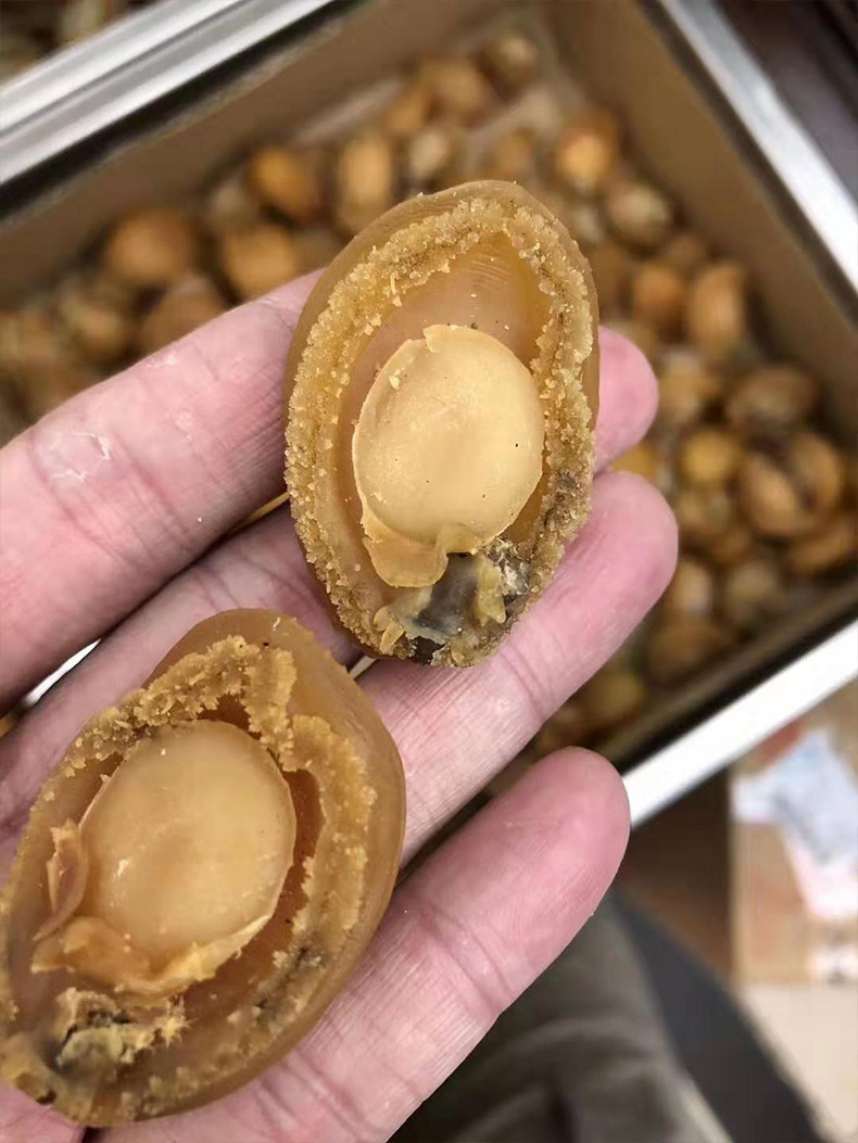 滋补大唐 批发大连鲍鱼干货一德路大连吉品鲍鱼干大连糖心干鲍鱼