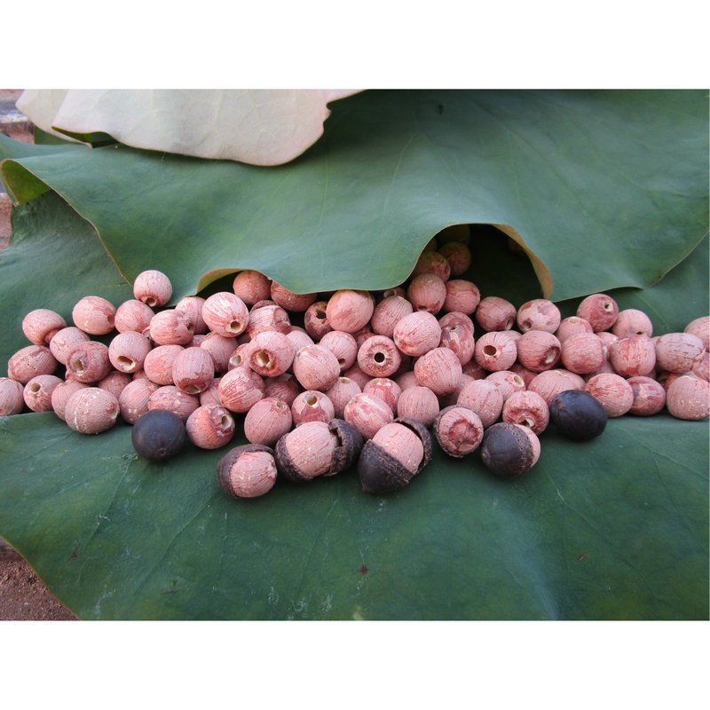 0成交23包相似湘潭产地直供红莲子有芯小莲子带芯红皮莲米500g量大价