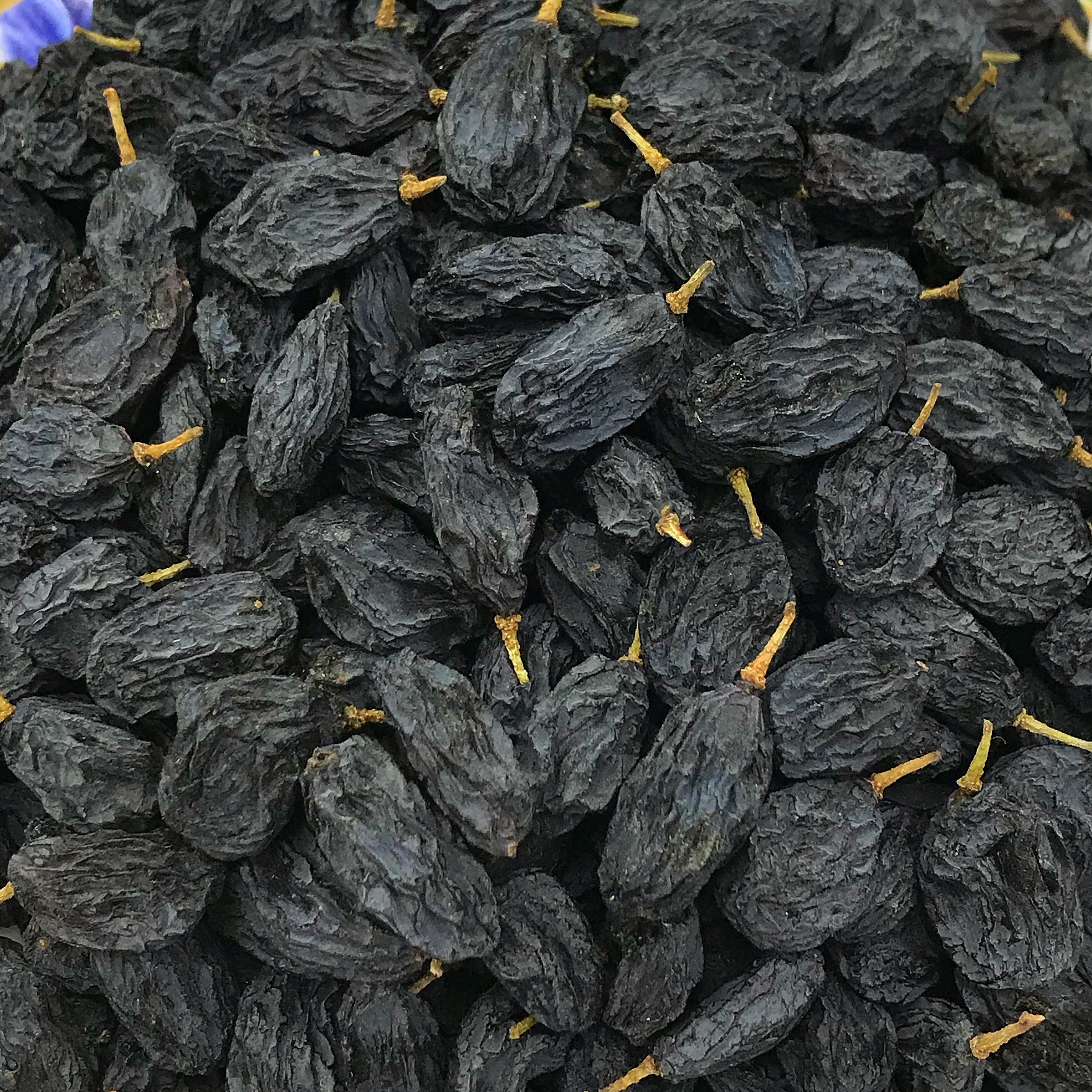 新疆特产黑加仑葡萄干大颗葡萄干青提子水果干散装批发休闲食品