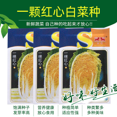 双狮白菜种子 10g袋装一颗红心农田菜园蔬菜种子 量大从优