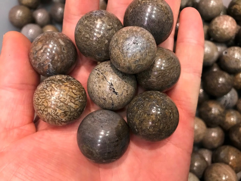 天然恐龙骨化石小球古生物骨骼化石球摆件2.2-2.3cm散珠