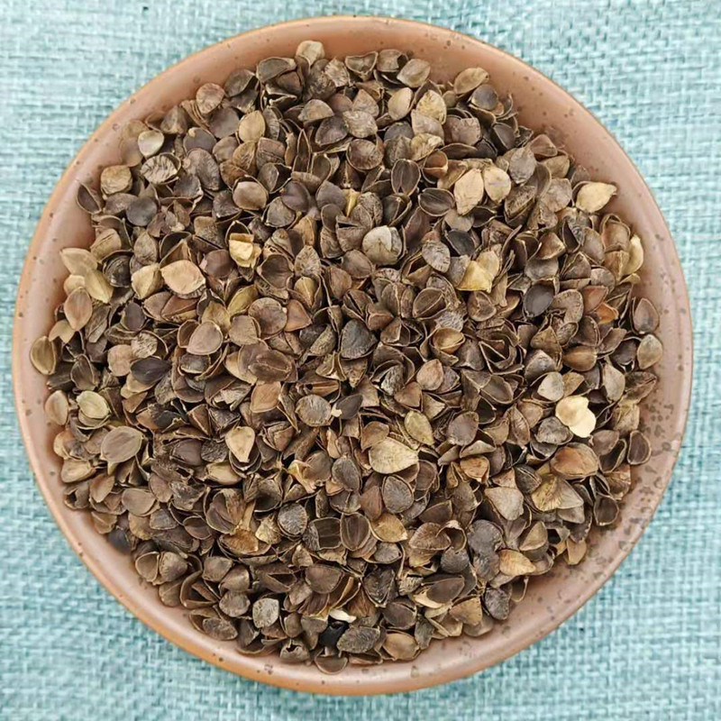 飒枫 甜荞麦壳 中药材 苦荞麦壳 枕头填充物 水洗荞麦壳