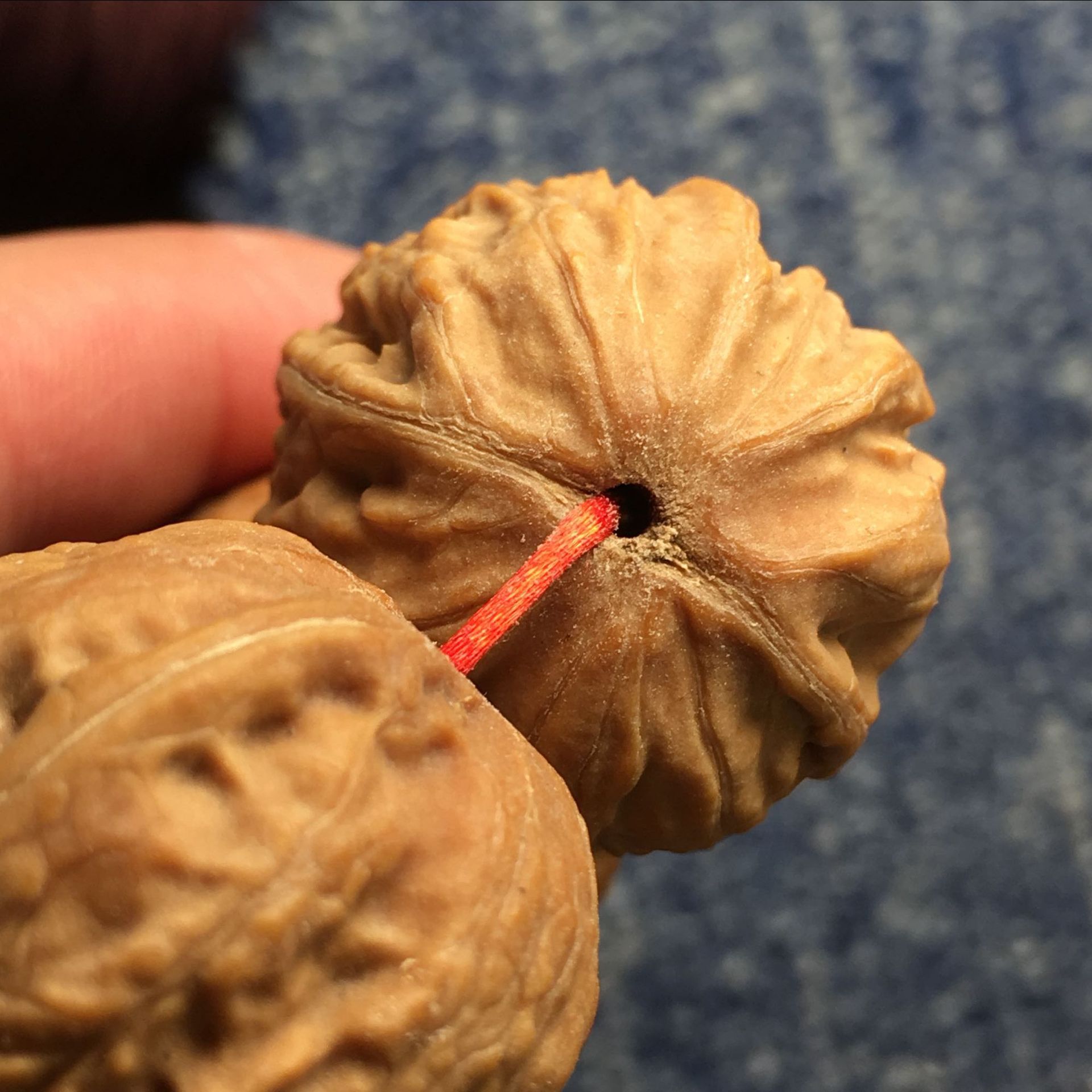 野生京八棱秋子小核桃手持 高密度粗纹 18颗 手串蛤蟆头26左右