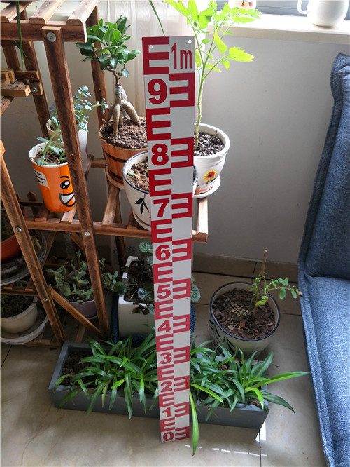 不锈钢水位尺水文尺白底红字可开发票适合摄像头观看(白底蓝色)