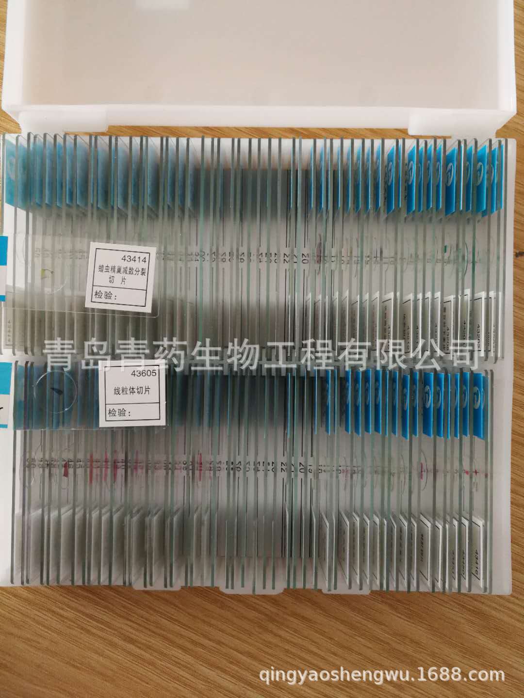 100片生物切片皖南牌显微镜标本实验玻片永久装片细胞载玻片青药