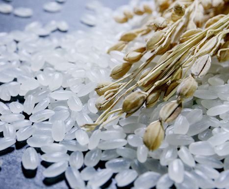 五常大米,不可错过的大米香