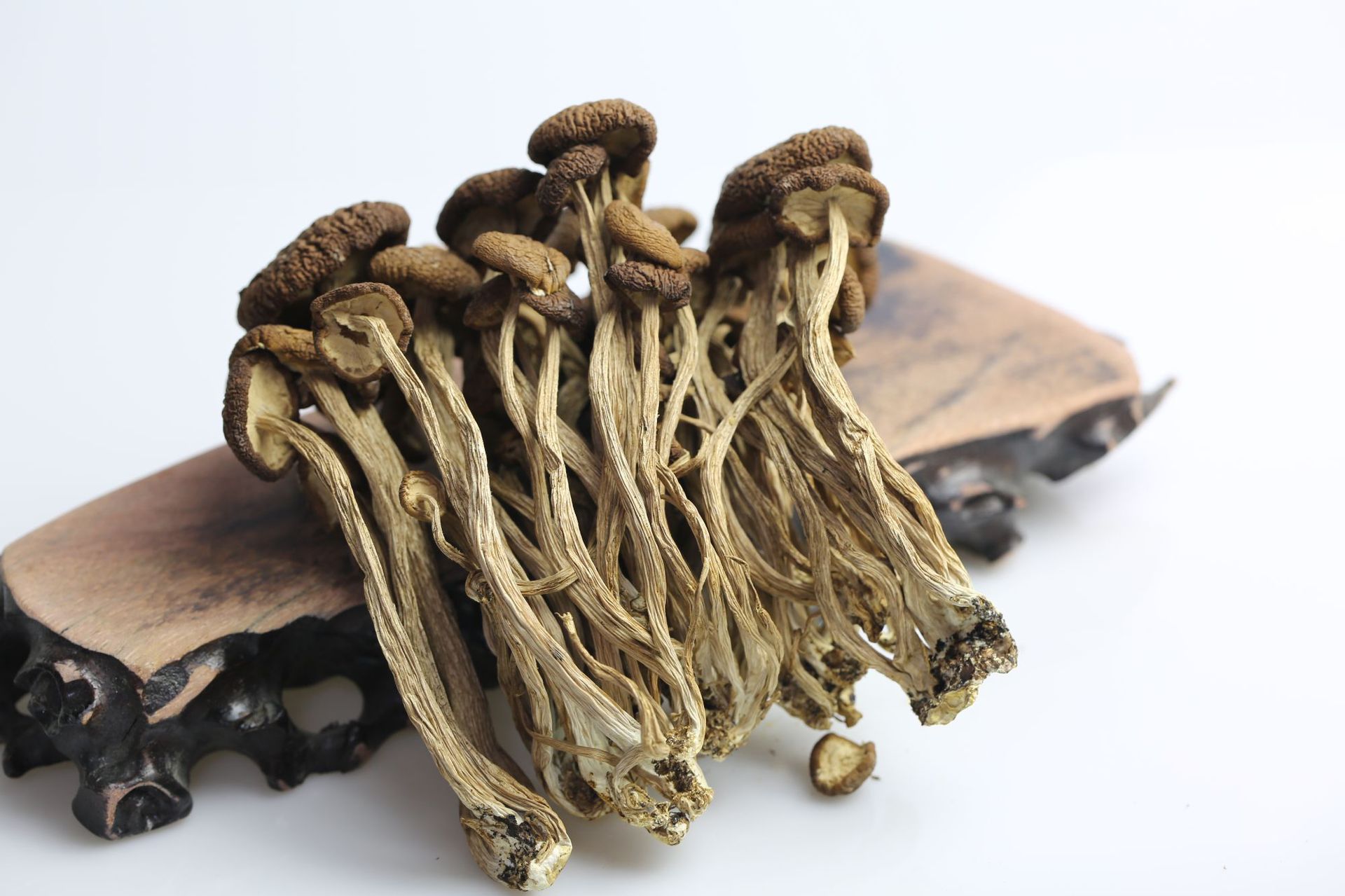 菌状元古田食用菌特产干货农产品开伞不开伞500g茶树菇酒店批发