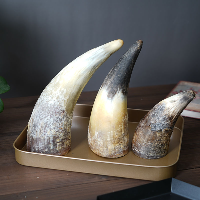 宠物零食 牛角 通用型磨牙棒磨牙洁齿骨 清火去牙结石 预防双排齿