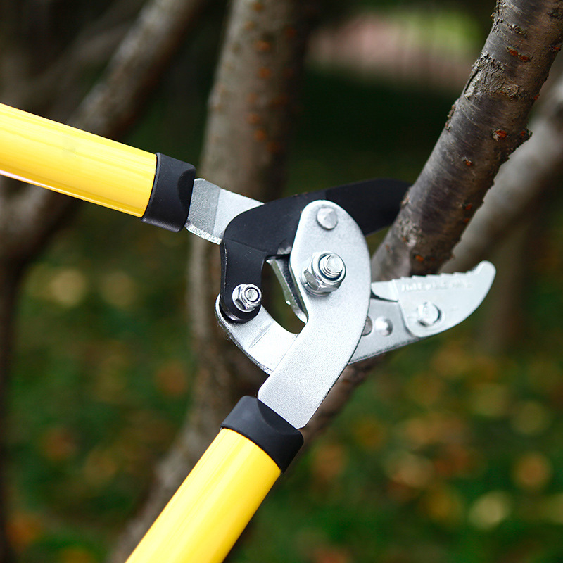 501lc1 高枝花树枝剪 便携式手动果树高枝剪大力剪