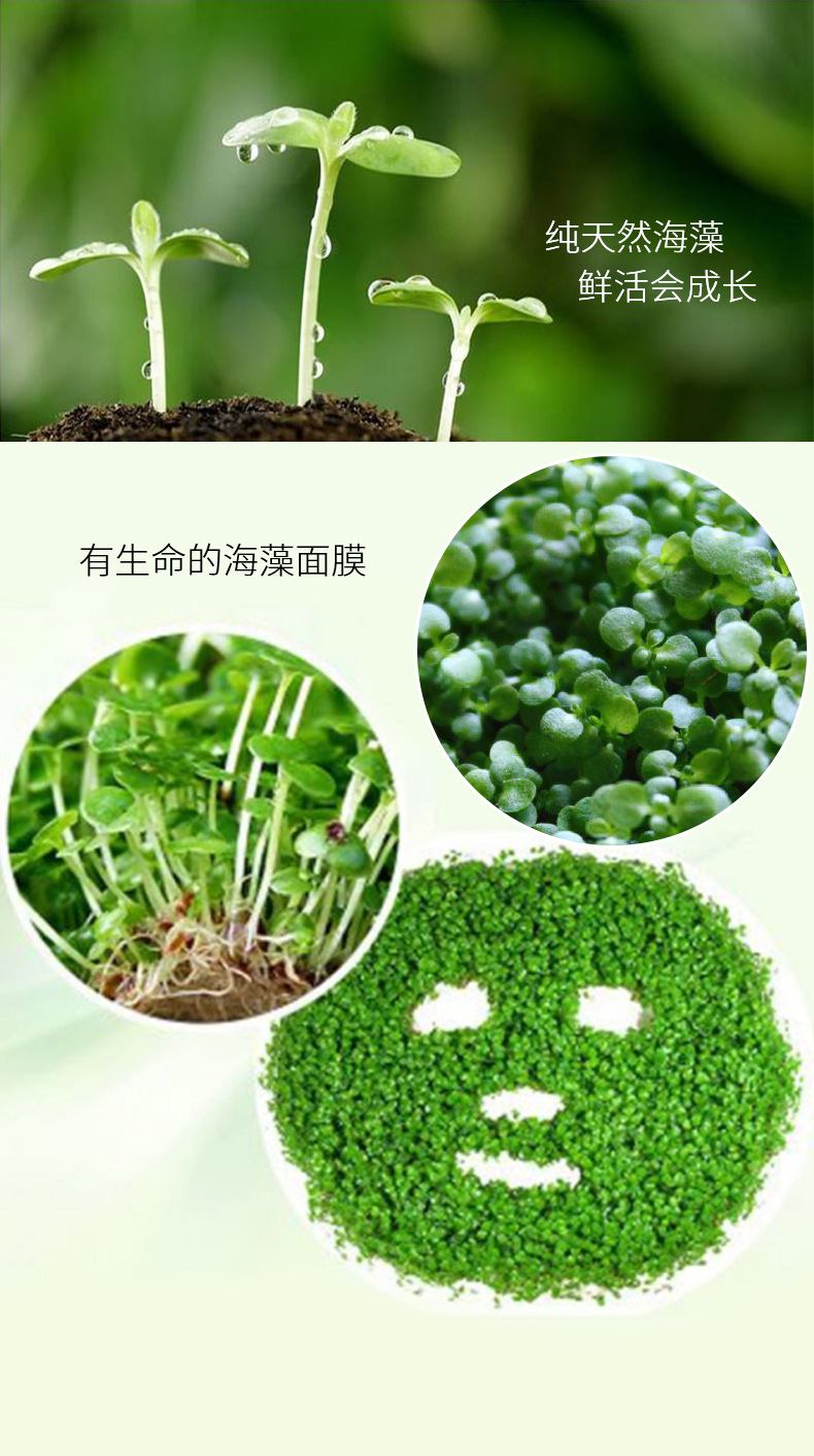 高档包装泰国小颗粒海藻面膜天然高胶原补水保湿晒后修复护肤品