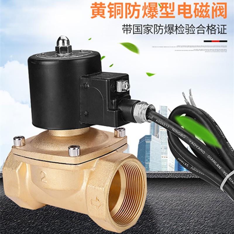 220v黄铜电子开关控制阀水阀气阀家用天然气阀门燃气阀防爆电磁阀
