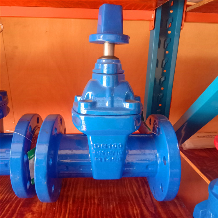 埋地式软密封闸阀rvcx10qdn300地下式自来水安装球铁水封闸阀