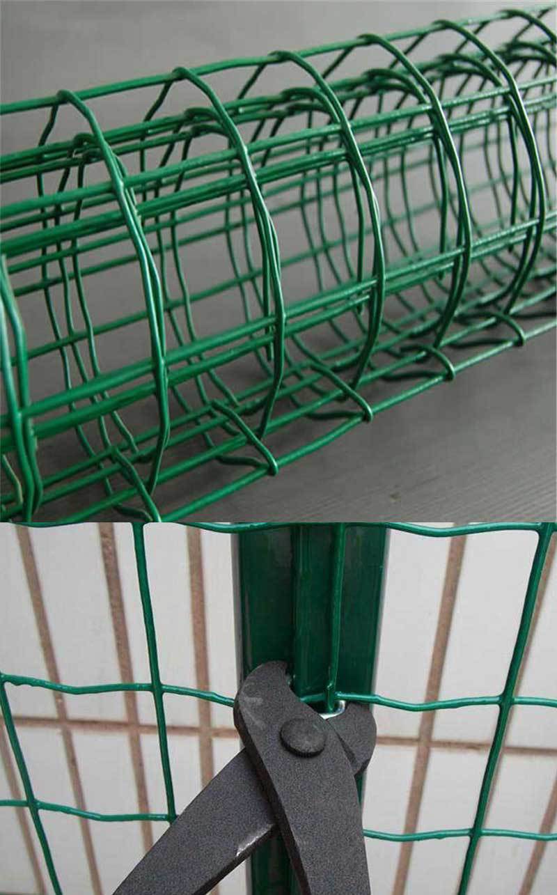 特点:     荷兰网具有防腐性能好,抗老化,美观大方.安装简便快捷.