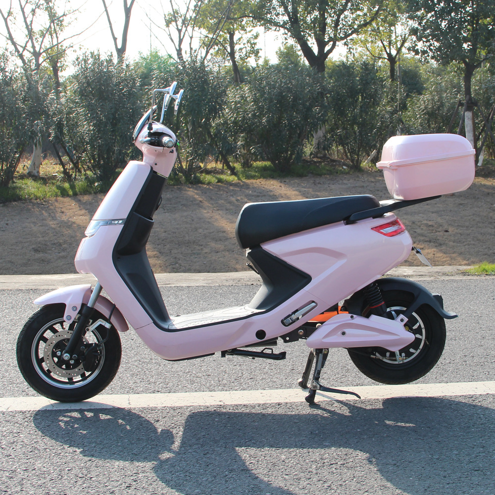 出口小s电动车锂电池铅酸电池通用 电动瓶车成人