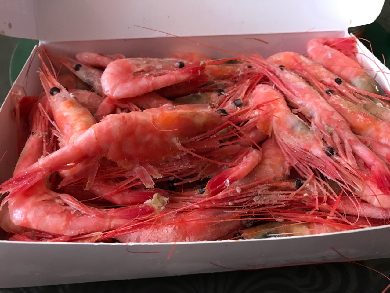 俄罗斯马加丹北极虾