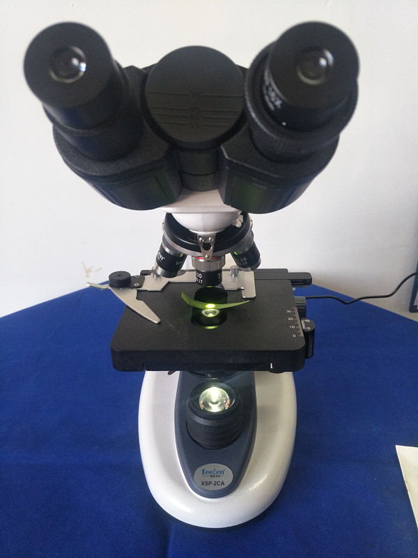缔伦xsp-2ca双目生物显微镜(led光源)调焦手轮箱带有锁定功能
