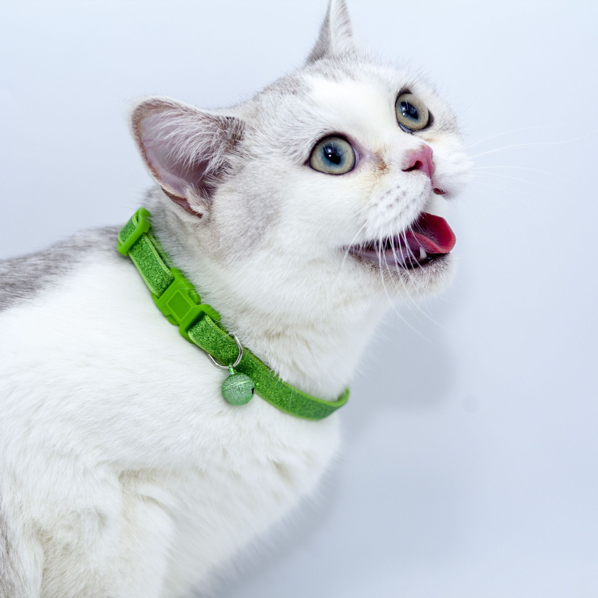 猫咪铃铛项圈 猫脸字母图案尼龙铃铛印花小奶狗脖套 宠物猫咪颈圈