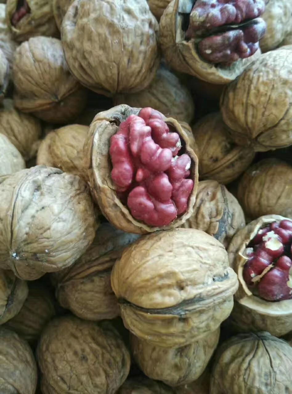 包邮】新疆特产2019红衣红皮红心核桃办公室零食现货现发量大从优