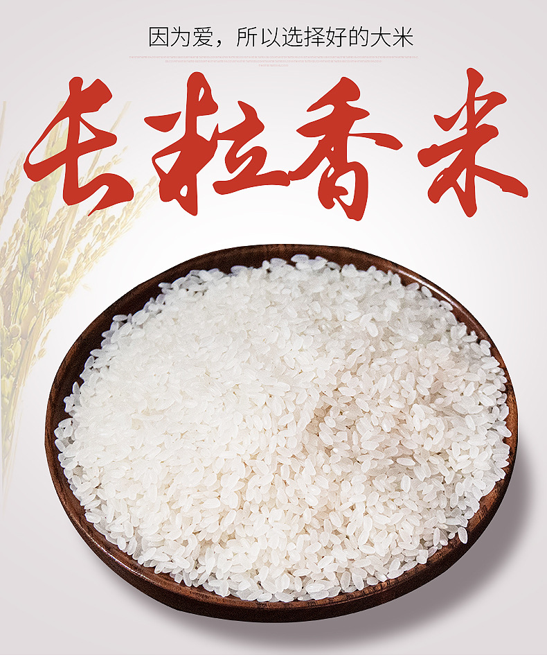 【庆禾香】东北大米5斤香米包邮 长粒香大米2.5kg 粳米一件代发