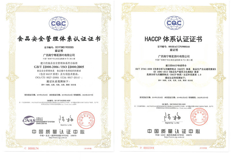 出口欧标源头茶园雪芽绿茶