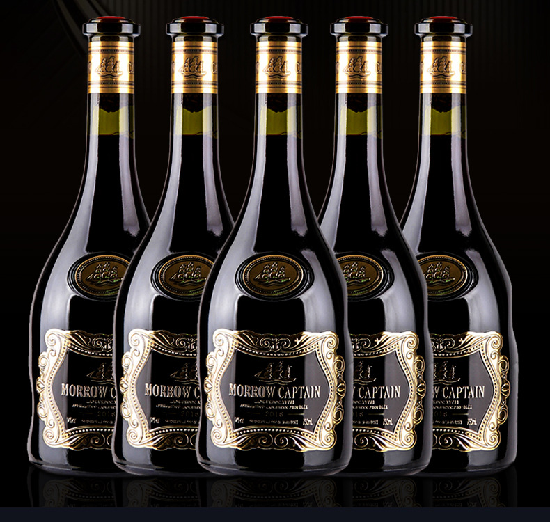 莫洛船长亚德里干红法国原瓶原装进口红酒礼盒装