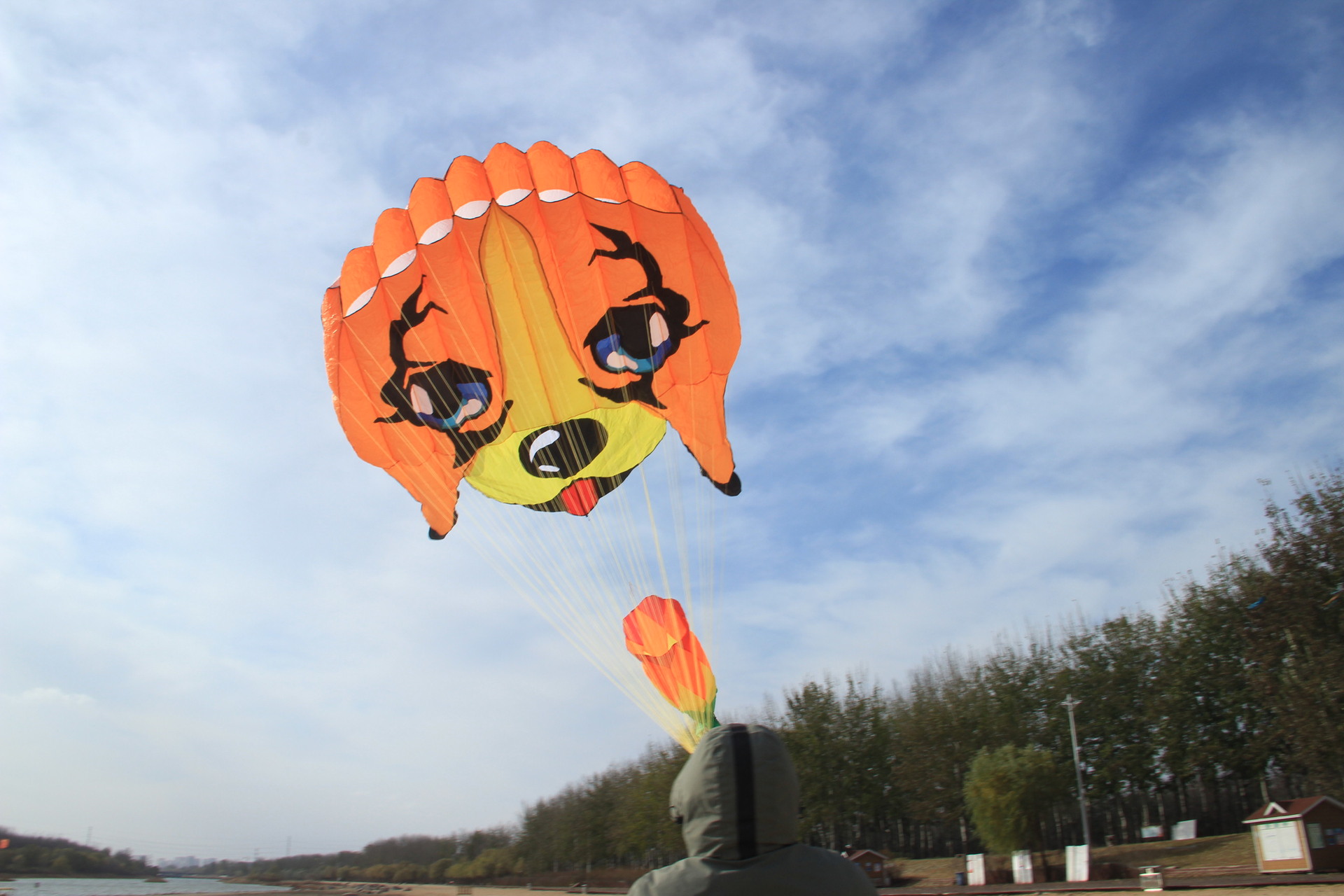 比格犬 软体风筝充气风筝 微风好飞 成人风筝 速卖通 领航风筝