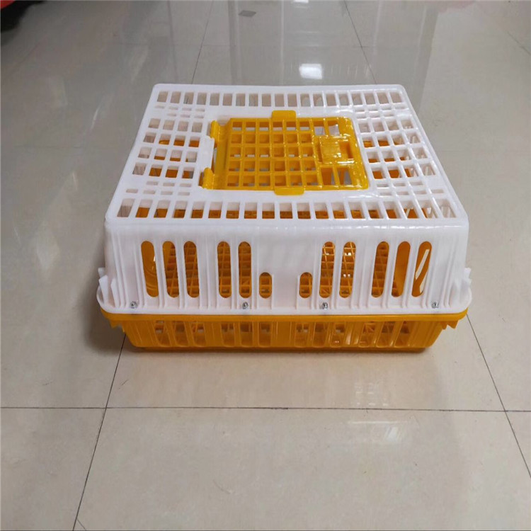 鸽子笼75*55*19cm塑料鸽笼鸽用运输笼周转筐鹌鹑兔子专用筐