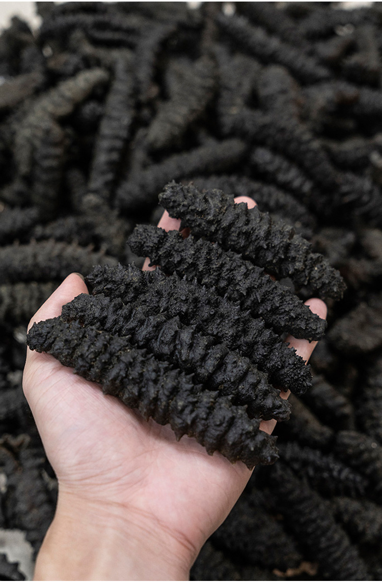 20-25头(1斤),30-35头(1斤),50-60头(1斤)货号螺纹参海参种类淡干海参