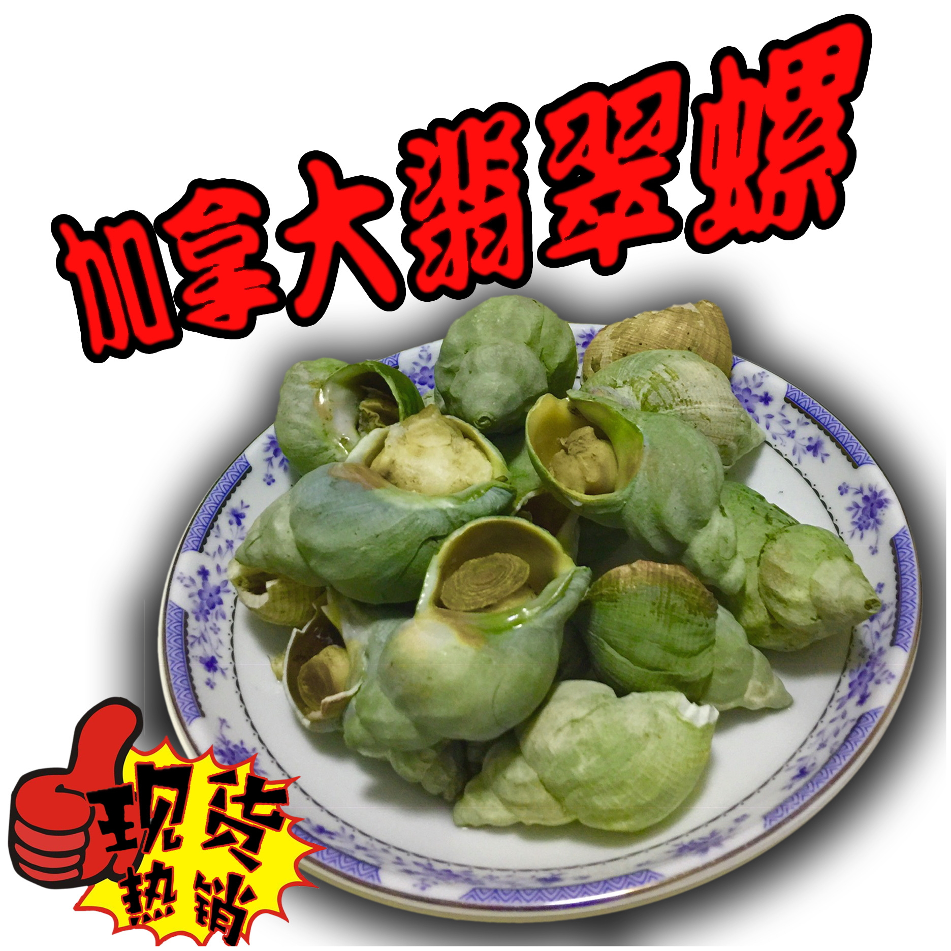 海鲜"加拿大 翡翠螺"商用大海螺全绿冻品批发西餐食
