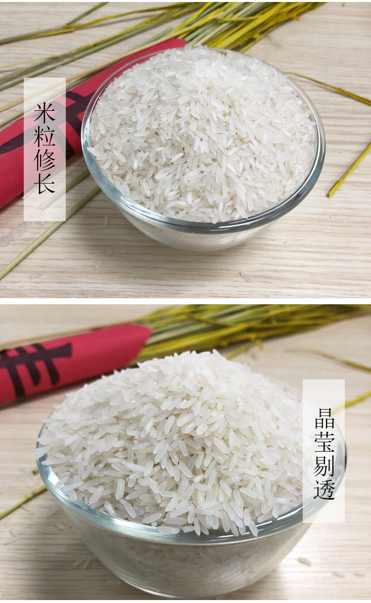 小农粘大米5kg 大米10斤 大米直批农家米岭南米厂家直供