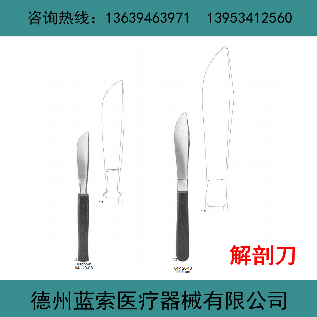 解剖刀 解剖刀 生物实验器材 教学仪器