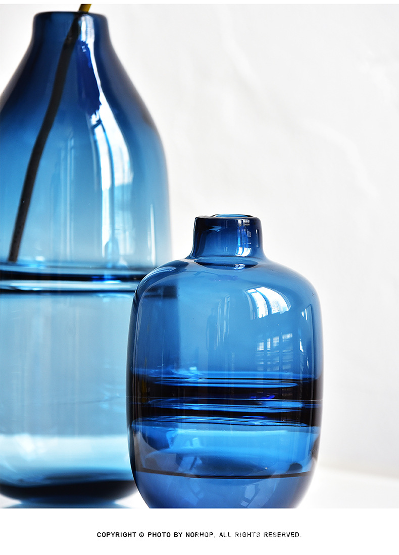 碧轩北欧简约玻璃花瓶透明家居客厅清新创意水培大花瓶装饰摆件