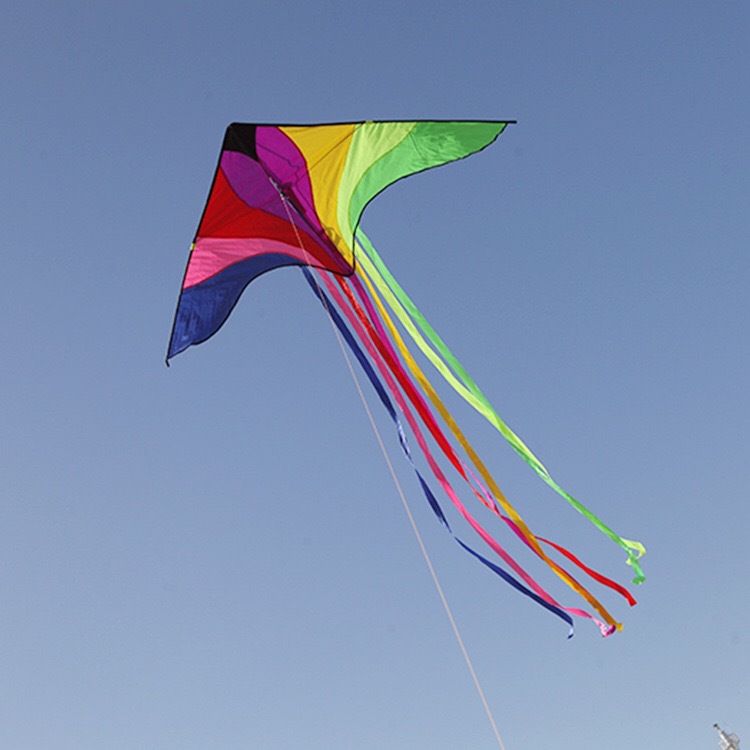 七彩鸟飞天风筝三角风筝弯边成人儿童户外放飞微风易飞保飞厂家