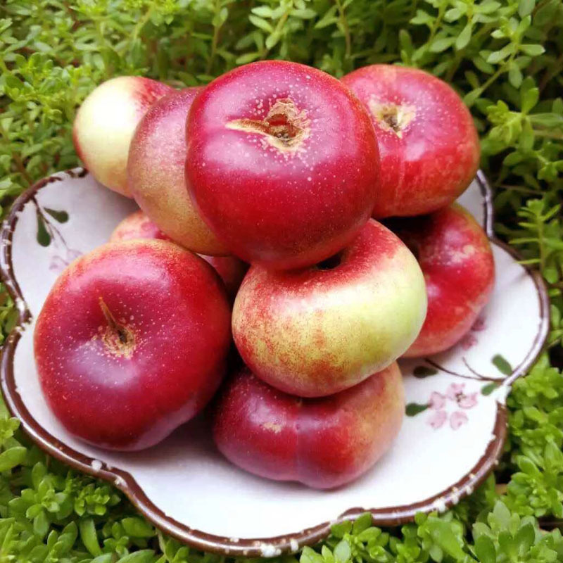 现摘山东【纽扣油蟠桃】新鲜时令水果潘桃当季整箱扁桃子应季甜桃