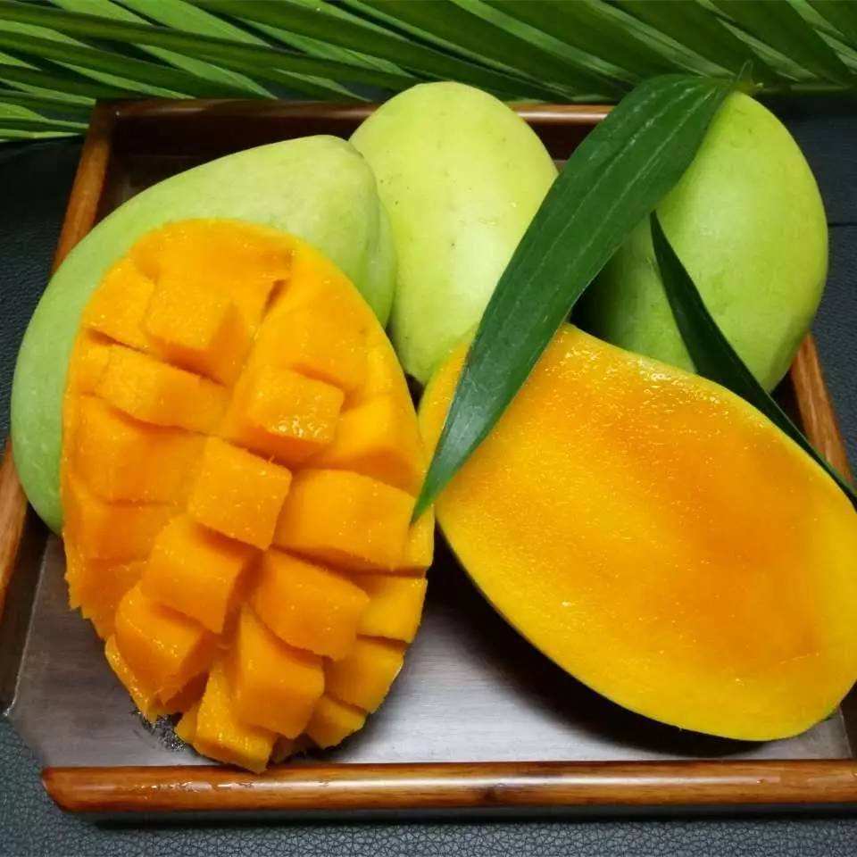 芒果玉芒新鲜水果新鲜当季水果金煌芒果非贵妃芒应季批发整箱代发