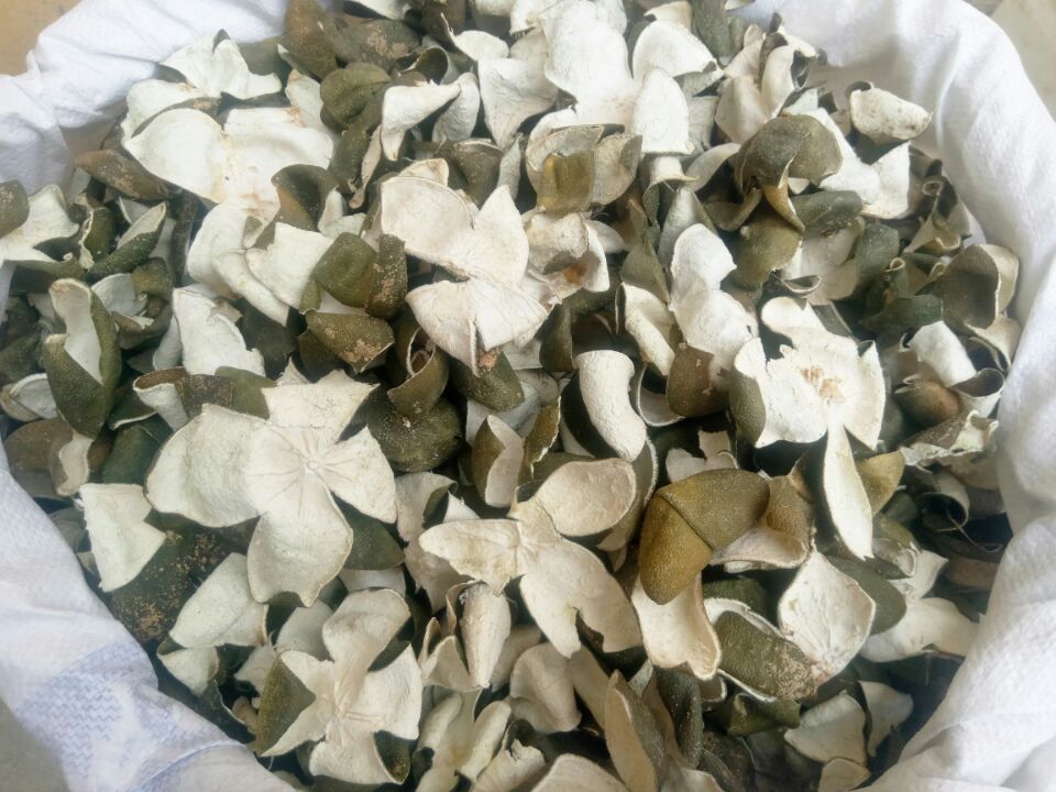 青皮包邮四花青皮青橘皮青皮子青梅500g包邮