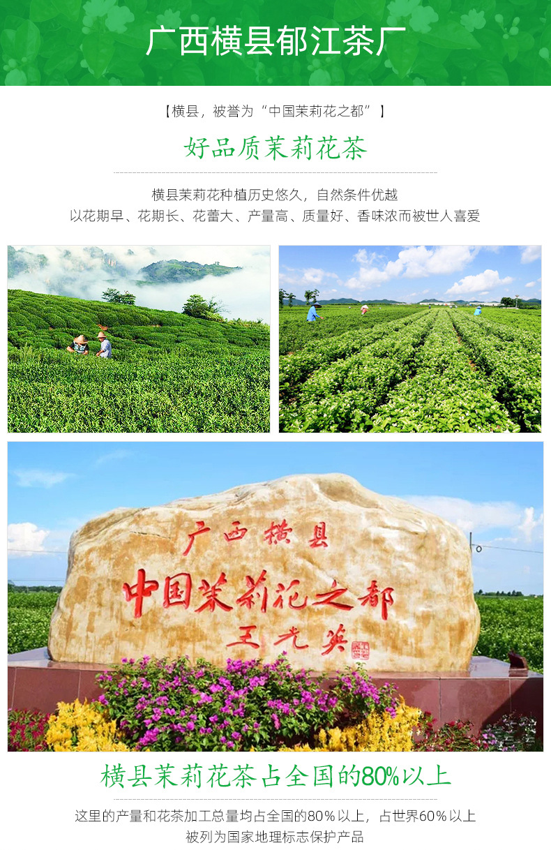 茉莉花茶一品茶王广西横县郁醇牌香碧螺100g袋清香经济工厂批发