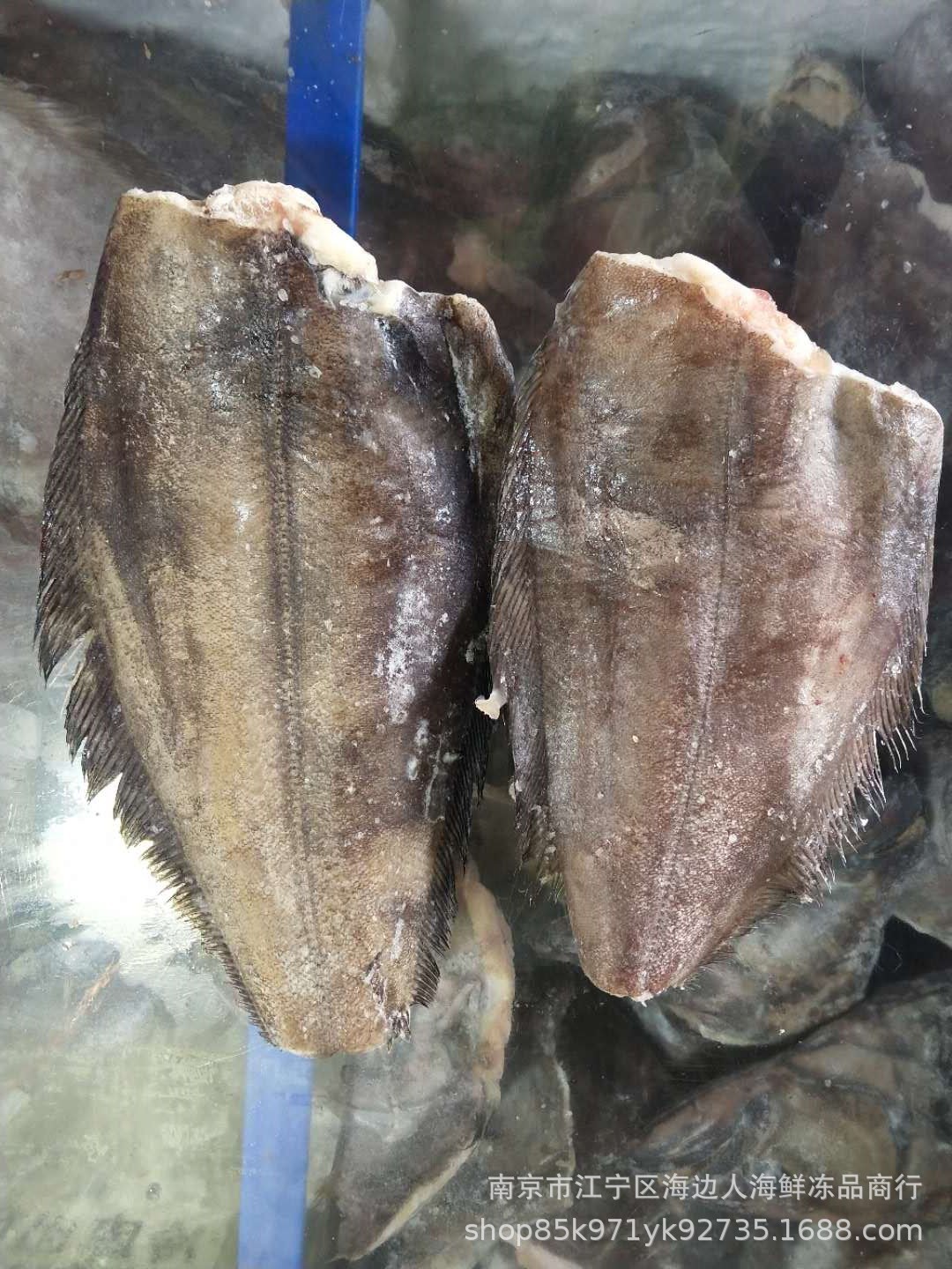 厂家一手货批发速冻鸦片鱼身鲜冻结比目鱼身冷冻鸦片鱼肉冻比目鱼