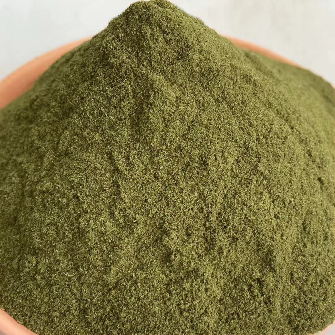 松针粉 绿色松针粉植物性饲料蛋鸡蛋壳蛋黄颜色饲料添加剂松针粉